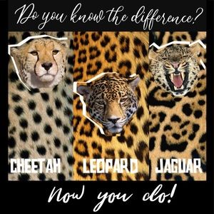 Do you know the difference?